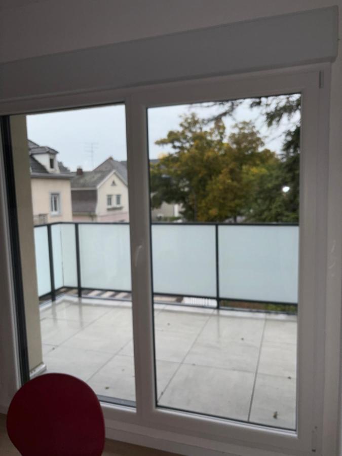 Duplex 6 Pers Neuf + Parking Apartment Mulhouse Bagian luar foto